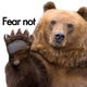 Illustration for article titled Turns out bears aren't actually interested in women's menstrual cycles